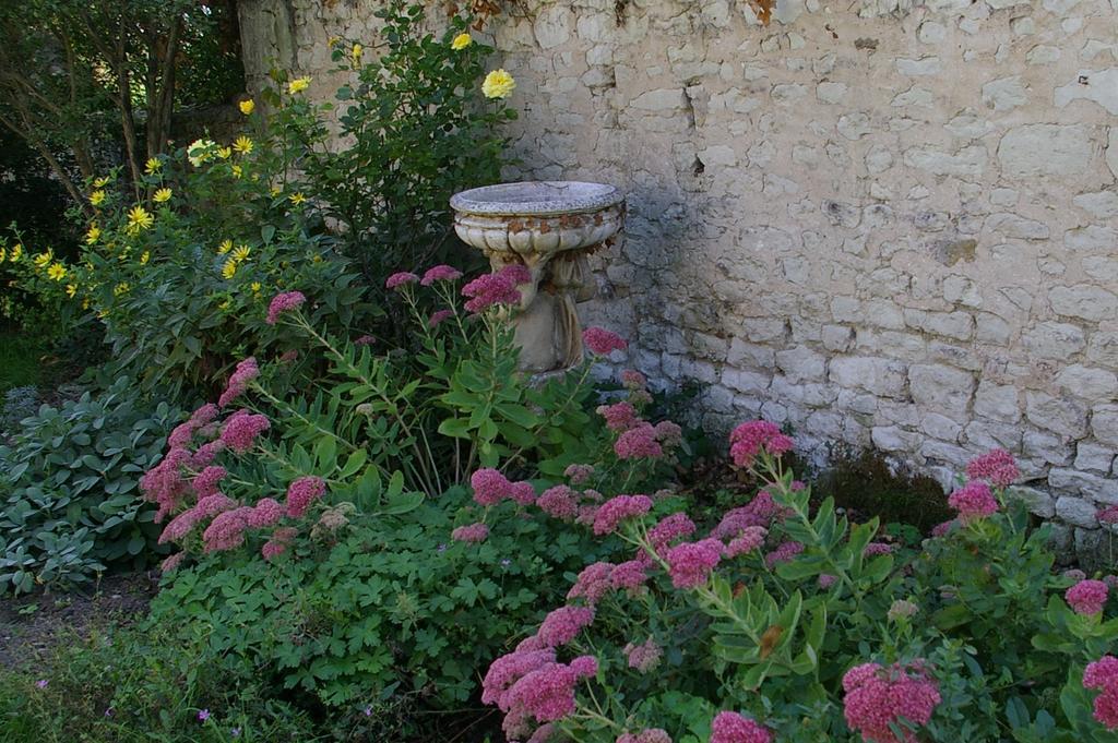 L'Olivier Monts-sur-Guesnes Exterior foto