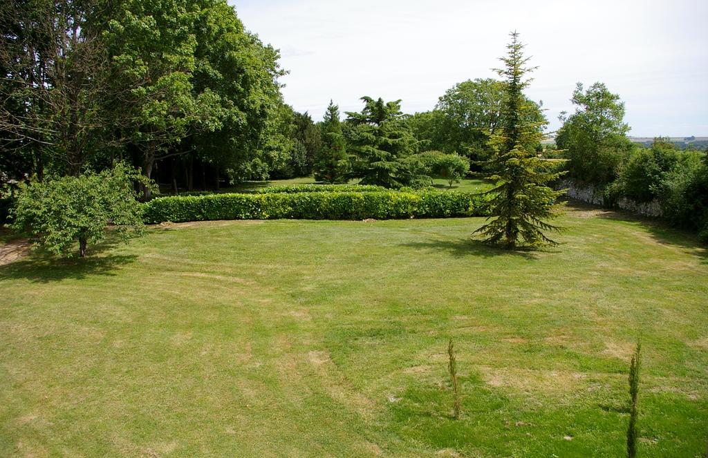 L'Olivier Monts-sur-Guesnes Exterior foto