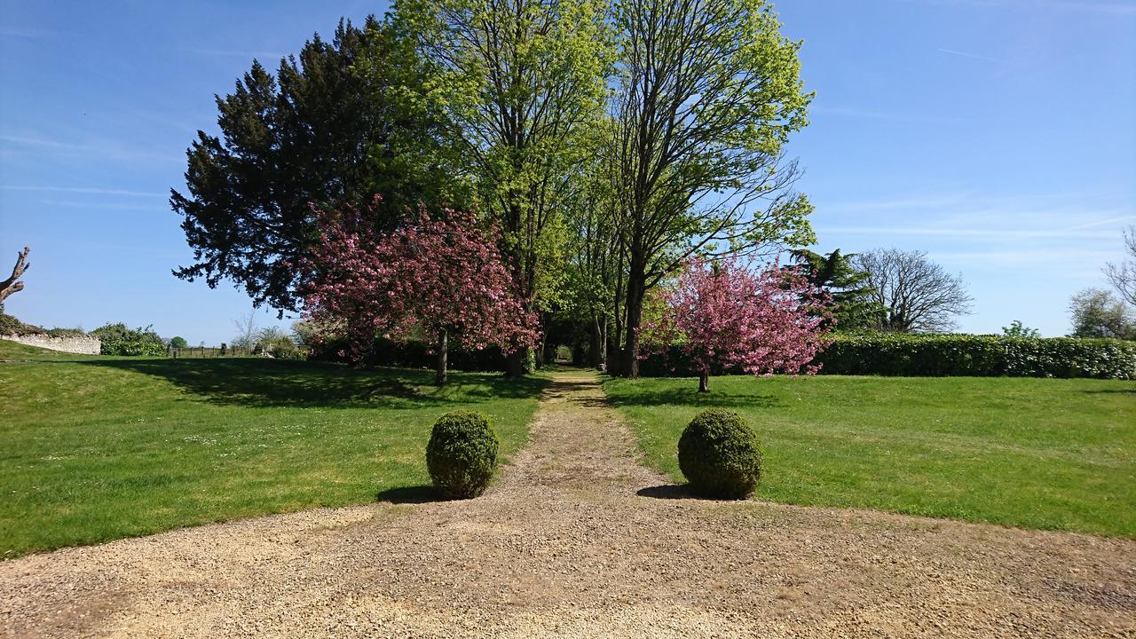 L'Olivier Monts-sur-Guesnes Exterior foto
