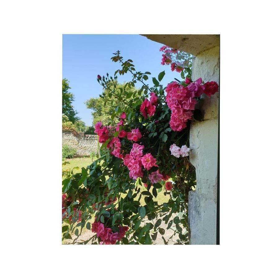 L'Olivier Monts-sur-Guesnes Exterior foto