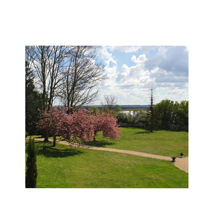 L'Olivier Monts-sur-Guesnes Exterior foto